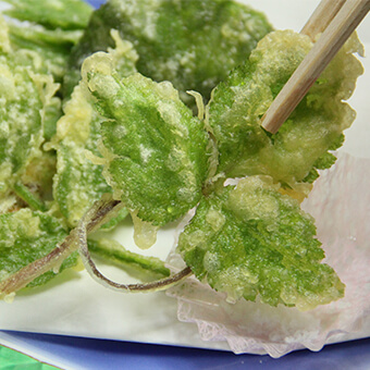 山菜の天ぷら